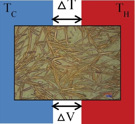 Polymer Thermoelectrics