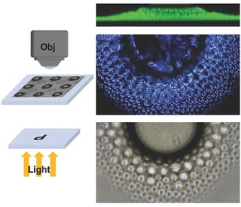 Advanced Optical Materials Top 5 – June 2015