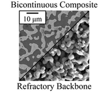 Bulk Bicontinuous Ta/Cu Nanocomposites Made by Liquid Metal Dealloying
