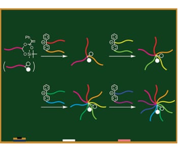 First precise 9-arm 9-component star polymer