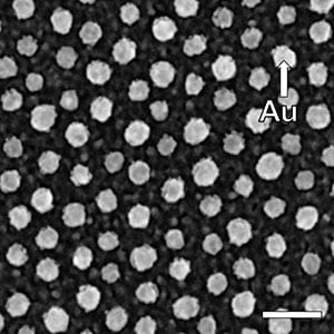 Multifunctional nanoarrays: flexible and precise nanolithography