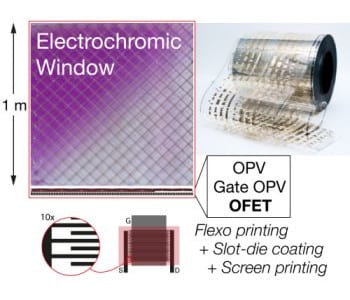 Roll-to-roll printing of flexible organic power transistors