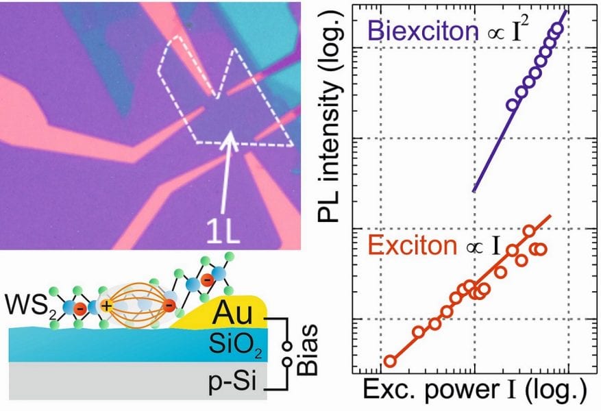 Optical spectroscopy reveals biexcitons in monolayer tungstenite