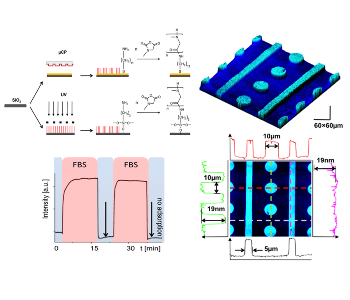 Patterned polypeptoid brushes: Non-fouling surfaces