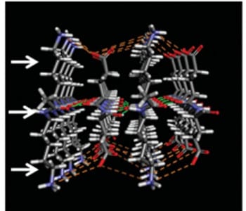 Understanding higher-ordered structures in polypeptides