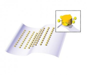 A Flexible and Sensitive miRNA Biosensor