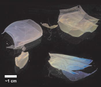 Temperature-Responsive Hydrogel Films