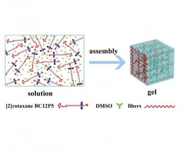 A Fluorescent Rotaxane: Molecular Shuttle and Sensor Gel