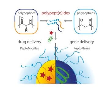 Polypept(o)ides: hybrid materials with promising applications in nanomedicine