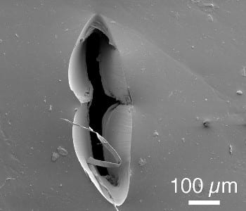 Puncture-proof and self-sealing water-tight materials