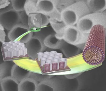 Block Copolymer Micelle Nanotubes via Template Wetting