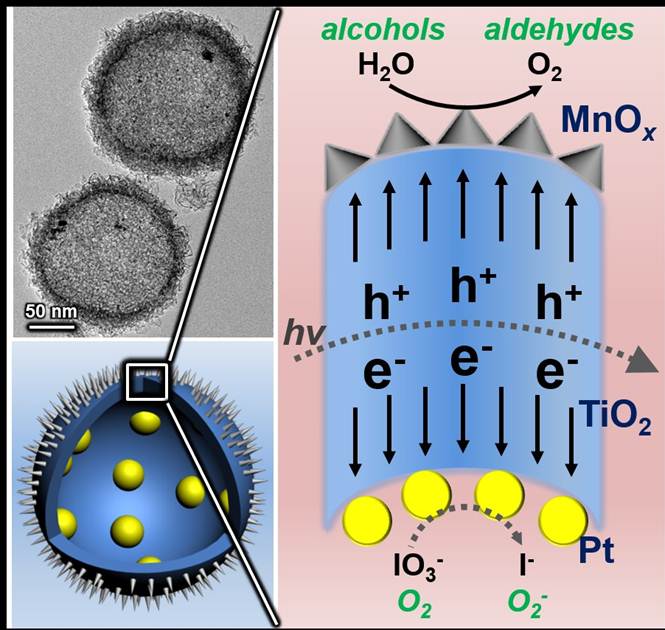 Novel photocatalytic system with remarkably high activity