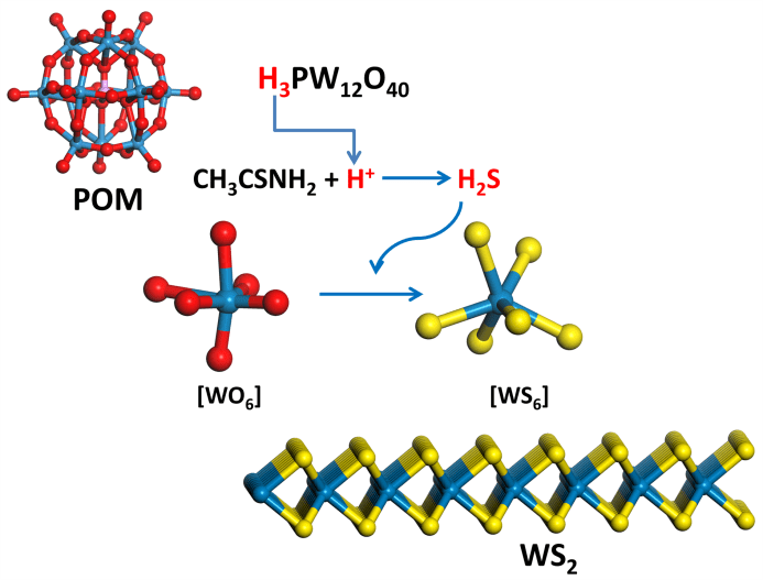 From Polyoxometalates to Transition Metal Dichalcogenides