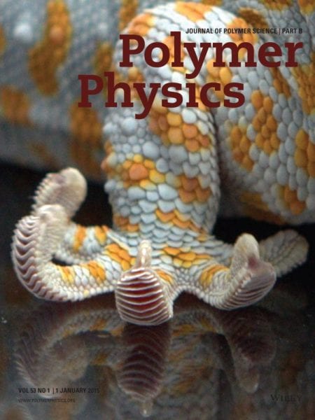 Best Covers of 2015 in the Journal of Polymer Science