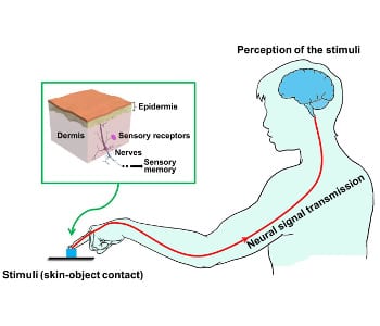 Mimicking human skin with haptic pressure sensors