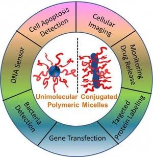 Polymeric Micelles for Bioimaging