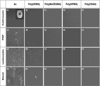 Polymer Brushes for Blood Contacting Devices