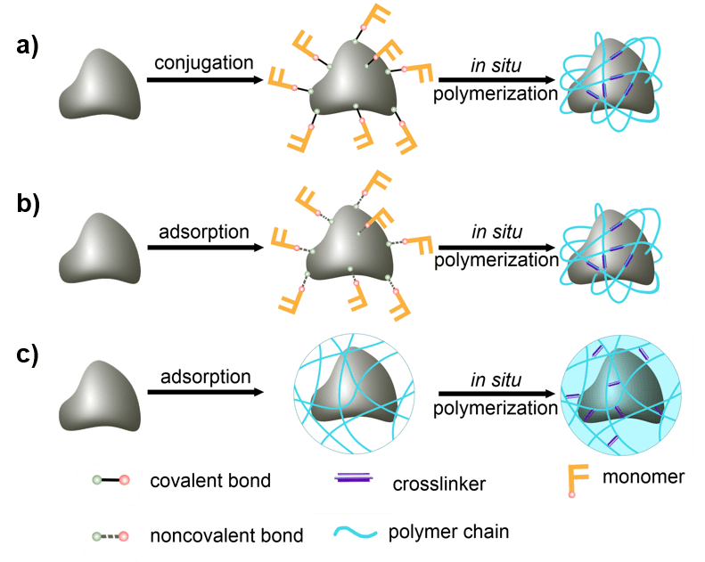 Versatile Protein Nanogels