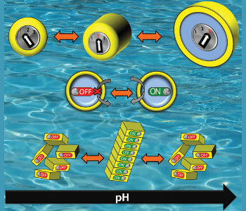 Autonomous control with pH-responsive materials