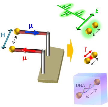 Remote Magneto-Mechanical Nano-Actuation