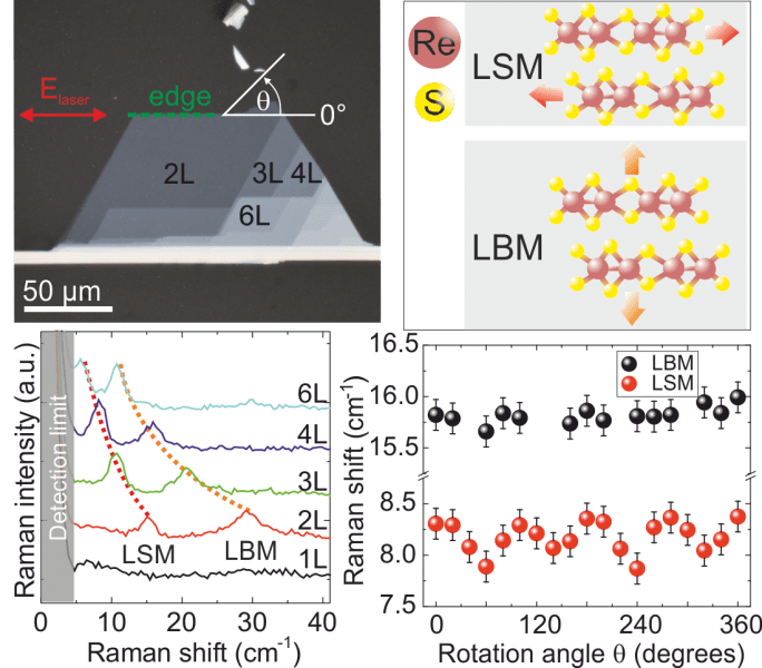 Anisotropic interlayer coupling in atomically thin ReS2