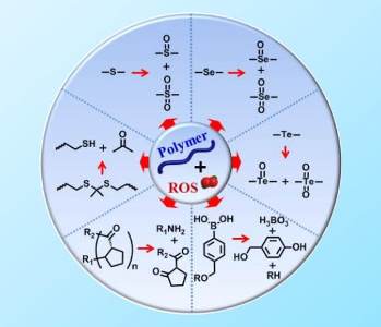 Reactive Oxygen Species (ROS) Responsive Polymers – A Review