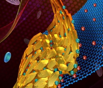 Green, biomineralization-inspired synthesis of a Li-Ion battery material