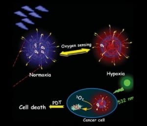 Polymer dots for cancer imaging and therapy