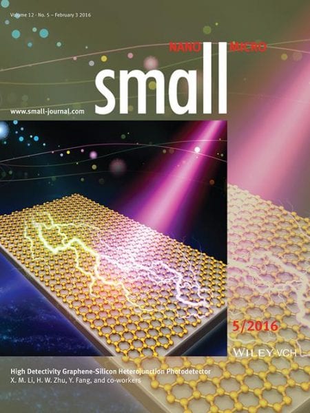 Highly Detective Photodetector Based on Graphene-Silicon Heterojunction