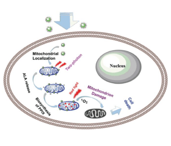 Carbon-dot nanosystem for photodynamic therapy