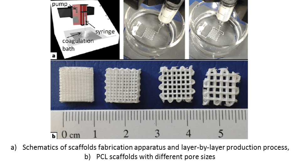 Can Polymers Regenerate Teeth?