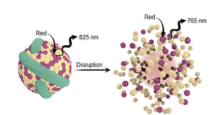 Ratiometric imaging of intact and disrupted nanocarriers