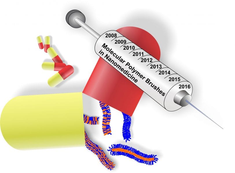 Molecular Polymer Brushes in Nanomedicine