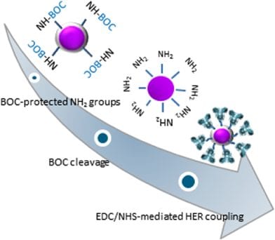 Polymer Nanoparticles for Targeted Cancer Therapy