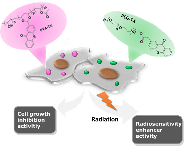 Targeting cancer with polymeric thioxanthones