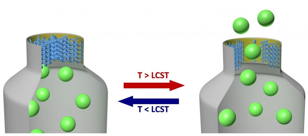 Thermally switchable bottle-neck pores for antimicrobial dyes release