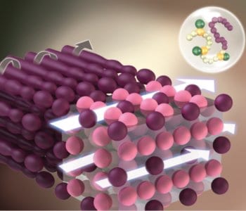 Ionic Liquids in Polymer Design