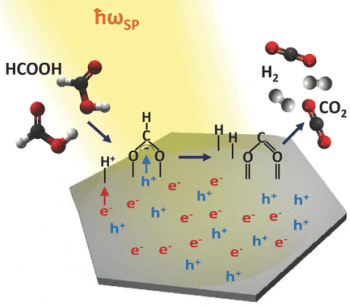 Plasmon-mediated photocatalysis – Pd nanoparticles in a double role