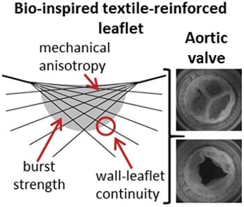 Tissue-engineered fibrin-based heart valve