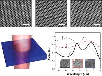 Tunable Graphene Metasurfaces with Gradient Features