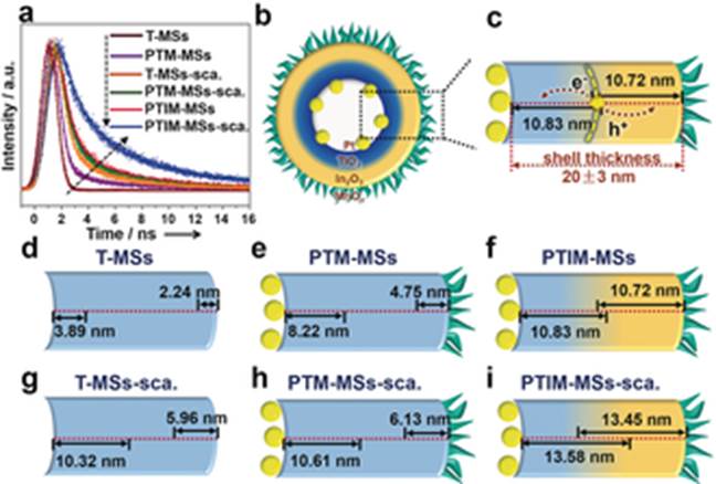 Synergism of Thin Heterojunctions and Spatially Separated Cocatalysts for Solar Water Splitting