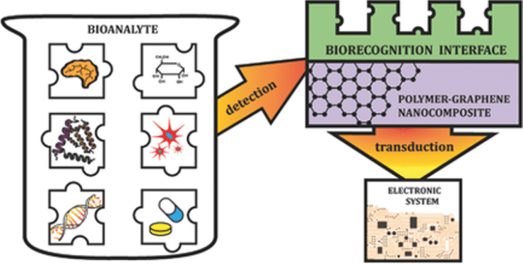 Biosensing with Polymer-Graphene Nanocomposites