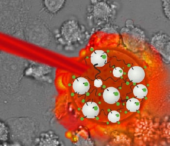 Nanogels for photothermal and photodynamic therapy