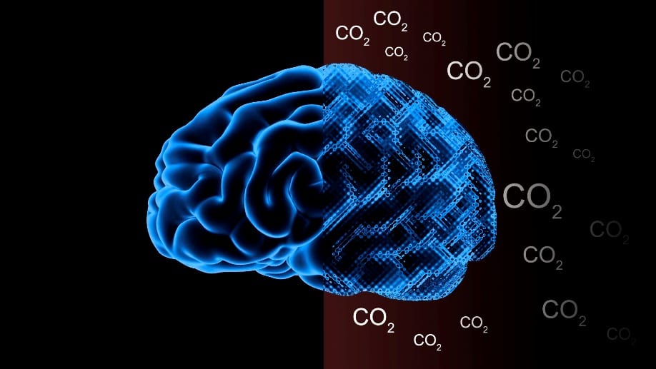 CO2 on the Brain and the Brain on CO2