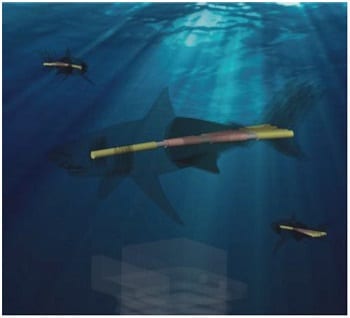 Magnetically propelled fish-like nanoswimmers