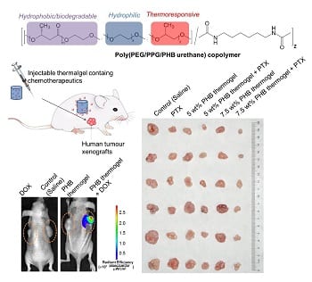 Injectable hydrogels for precise chemotherapy