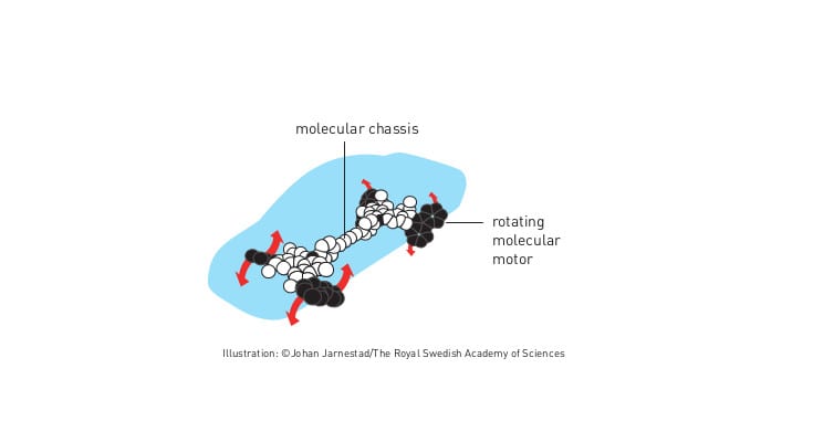 Molecular machines honored in 2016 Nobel Prize in Chemistry