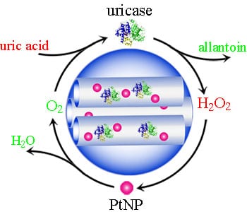 Engineering an artificial metalloenzyme for treating hyperuricemia with tolerable toxic side effect