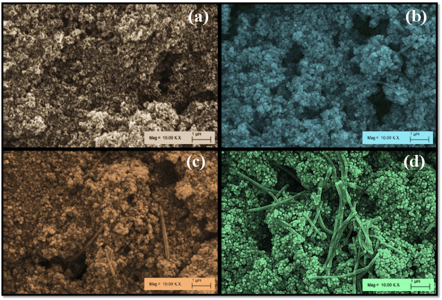 DNA-decorated dye-sensitized solar cells