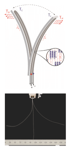 bendingactuator